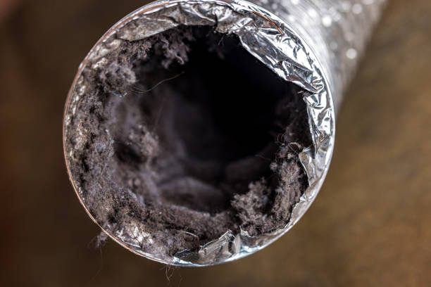 Best Affordable Duct Cleaning Services  in Gerber, CA