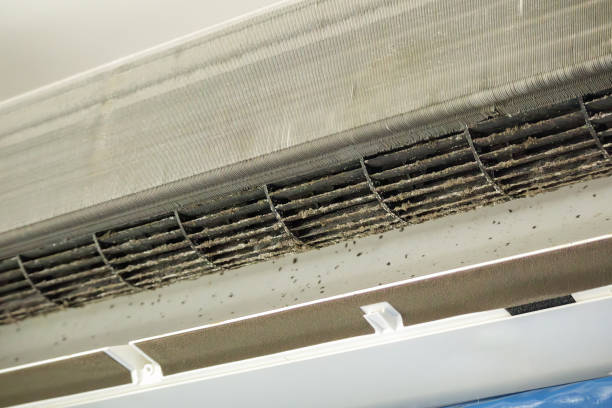 Best Professional Duct Cleaning Services  in Gerber, CA